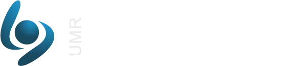 Logo IRISA